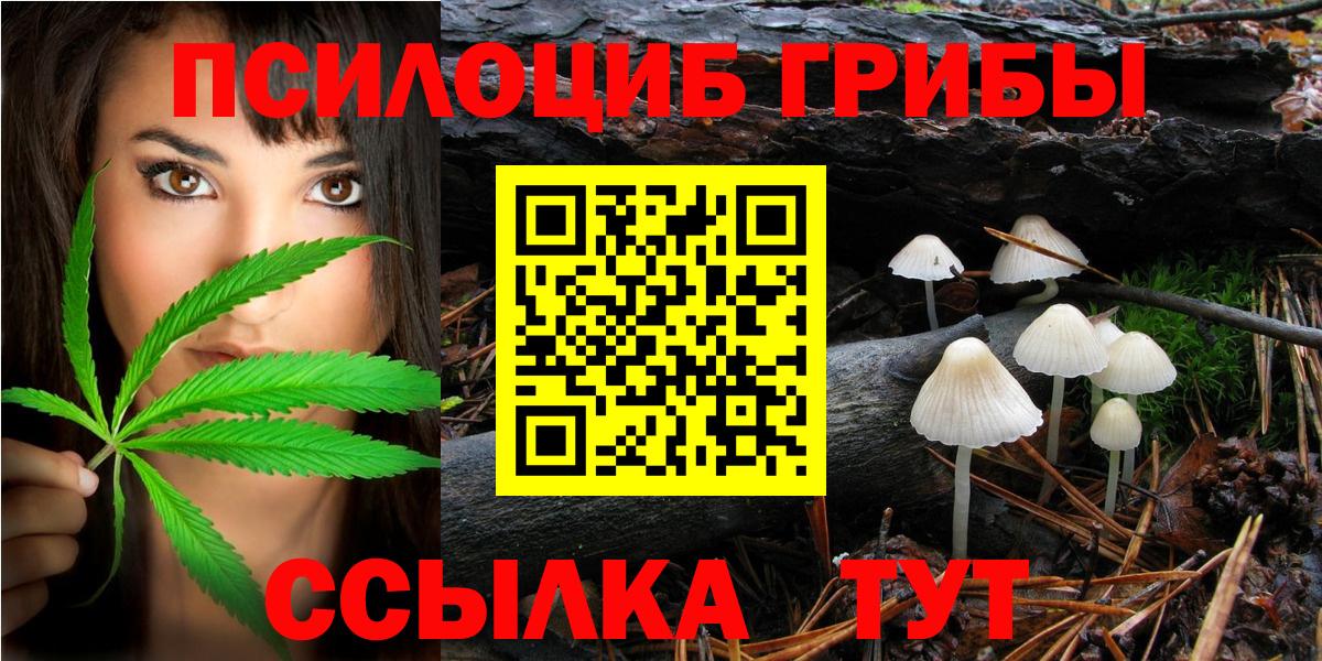 Будённовск  Псилоцибиновые грибы Cubensis  Псилоцибиновые грибы мухоморы  Вход с VPN 
